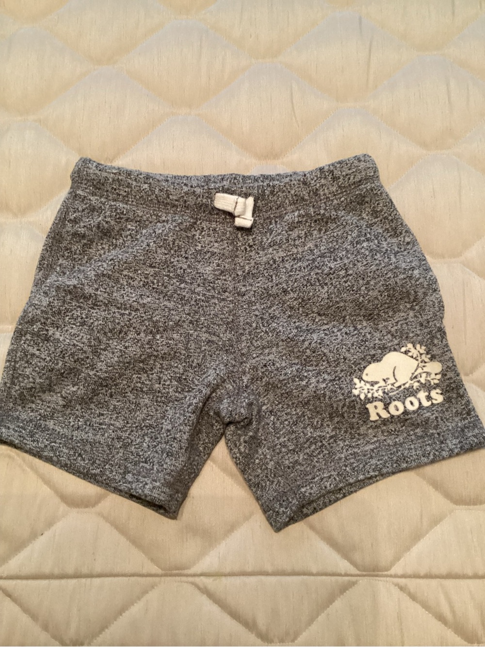 Roots Kids Gray Terry Sweat Shorts with White Logo Patch
